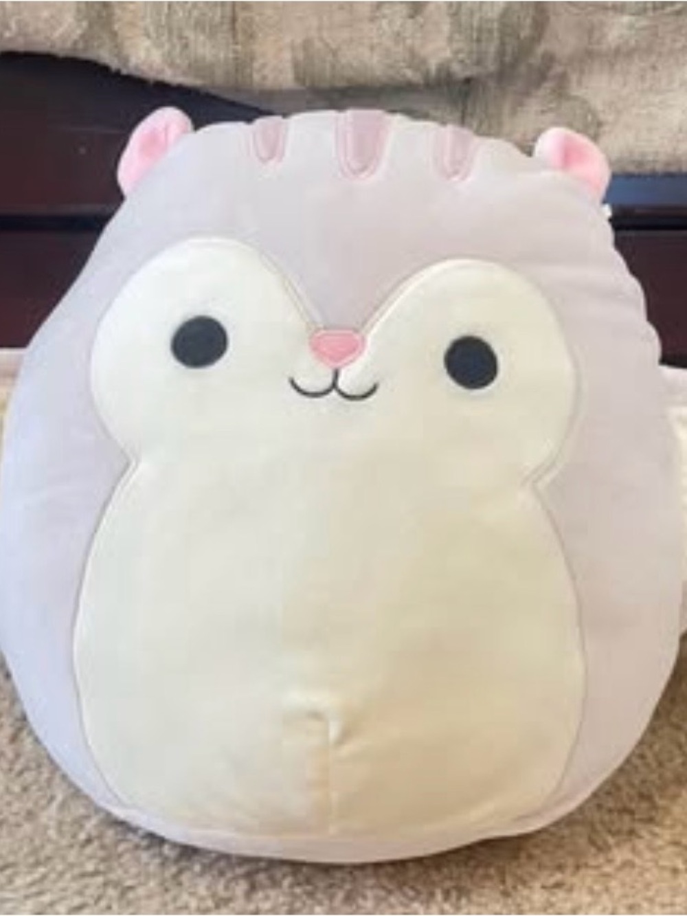 Squishmallows Steph the Flying Sqirrel